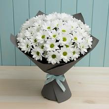 Букет цветов из:  Хризантемы #REPLACE_PRED# Мандрово