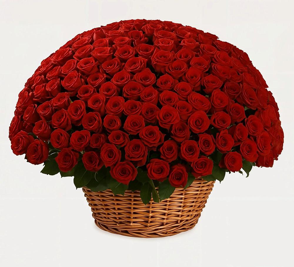 Премиум букет из: Розы в Мандрово